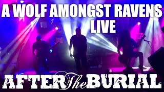 A Wolf Amongst Ravens | After the Burial (Live 10/21/18)