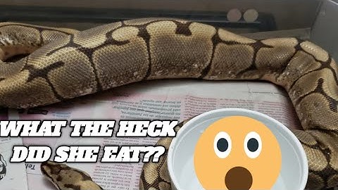 Tips on knowing when you