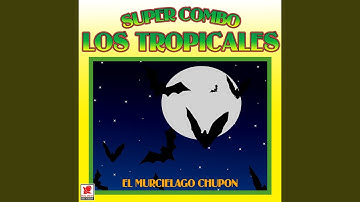 Él Del Muchacho No Soy Yo