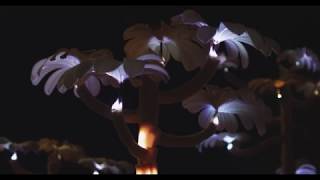 Forest of the Glowing Symbionts