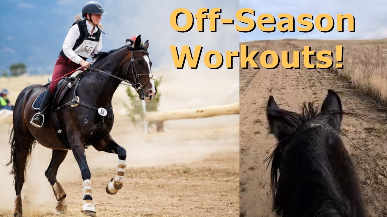 Winter Hill Work and Trot Sets Compilation! ║ Cav ║ Off-Season Equine Conditioning ║