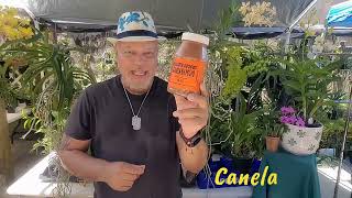 Boot Camp  #0048 Productos que debe tener un Cultivador de Orquideas: Parte 2