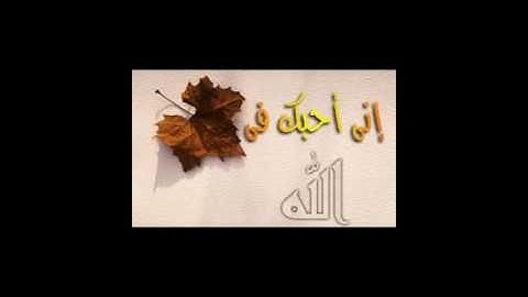 القران الكريم /  بوزنيقة : ماتيسرمن سورة يوسف لفضيلة الأخ الإدريسي في تراويح رمضان 1436/2015