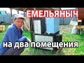 Бюджетная печь для бани на два помещения. Обзор банной печи ЕМЕЛЬЯНЫЧ 2/S.