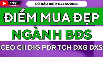 TOP Cổ Phiếu Bất Động Sản Cuối 2025 | CEO, CII, DIG, PDR, DXG, TCH – Điểm Mua Đẹp Nhất!