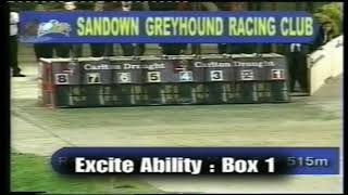 2002 Melbourne Cup | Excite Ability