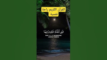 القرأن الكريم راحة نفسية للقارئ الشيخ #اكسبلور #المصحف #تيك_توك #الرحمن
