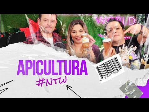 NTW EP 3 T7 APICULTURA: EL INCREÍBLE MUNDO DE LAS ABEJAS (ESPECIAL DE AÑO NUEVO)