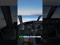 Flight Simulator: Simulation oder reiner Arcade? #msfs #debate