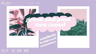 green and pink two toned aesthetic background animations