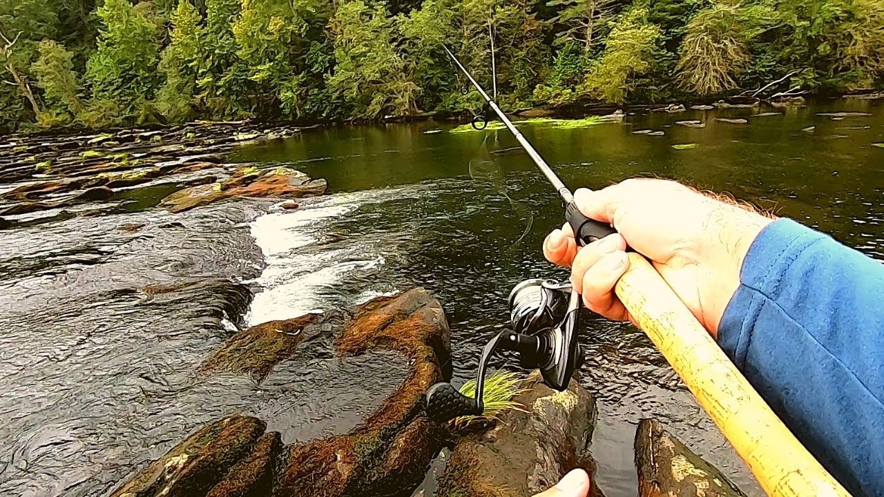 A Trout Fishing Video Hiwassee River YouTube