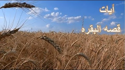 ايات قصه البقره من سوره البقره بصوت الشيخ الحصرى