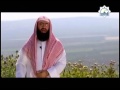 نبيل العوضي برنامج فضائل 27 _فضل الزراعة و فضل الرحمة بالحيوان و فضل الشفاعة جميييل1 mp3