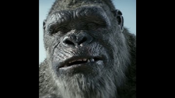🤣 Tooth For Tooth 😂 Kong Vs Scar King #shorts #shortsfeed #godzillaxkongthenewempire #kong