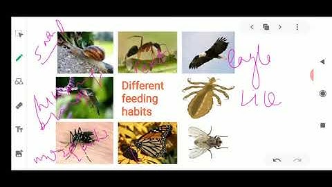 CLASS VII SCIENCE 9 -4-2020 by Ms. BHANUPRIYA.