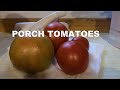How to Grow TOMATOES on the PORCH