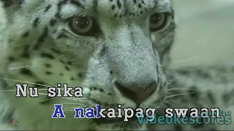 Melo Santiago - Dayang-Dayang (Karaoke/Lyrics/Instrumental)