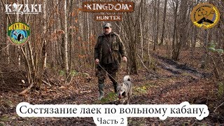 Соревнование лаек по вольному кабану. Часть 2 Соревнование лаек по вольному кабану. Часть 2