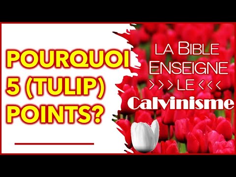 Vidéo: Comment le calvinisme a-t-il affecté la société ?