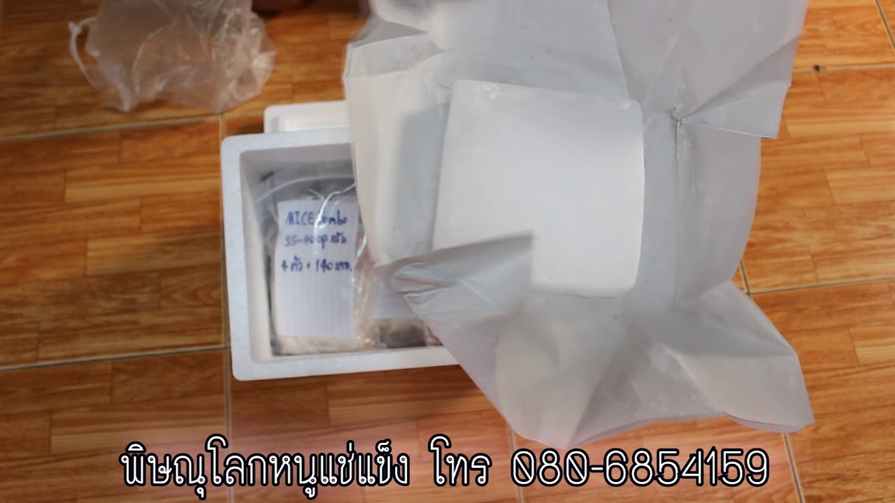 corn snake morphs ▶หนูไมค์ EP.5 วิธีแพ็คหนูไมค์แช่แข็งส่งต่างจังหวัด !!