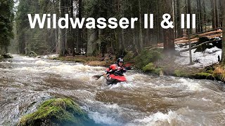 Großer Regen  Wildwasser Perle im Bayrischen Wald