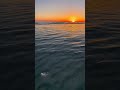 Copy of annsundip_reel_4_14_2024_7_10_43 PM3346063783355065435.mp4
