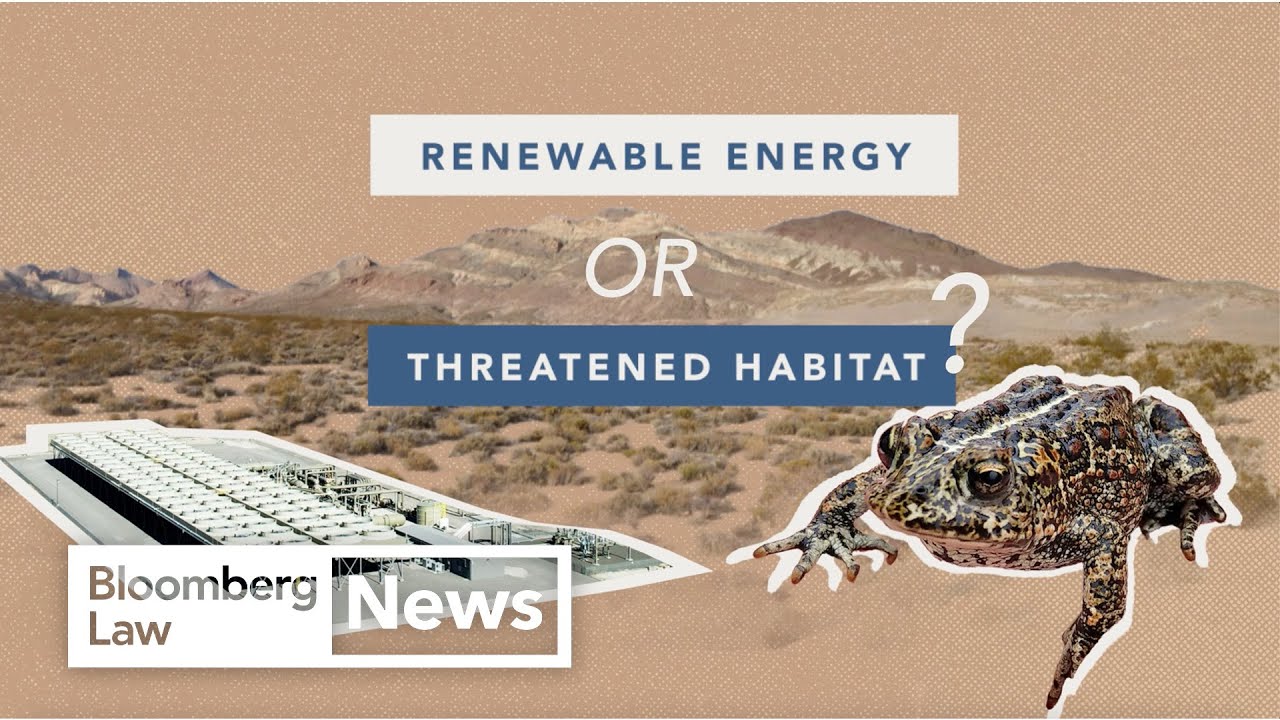 Dixie Valley Toads or a Geothermal Plant? An Environmental Law Fight Over Renewable Energy in Nevada