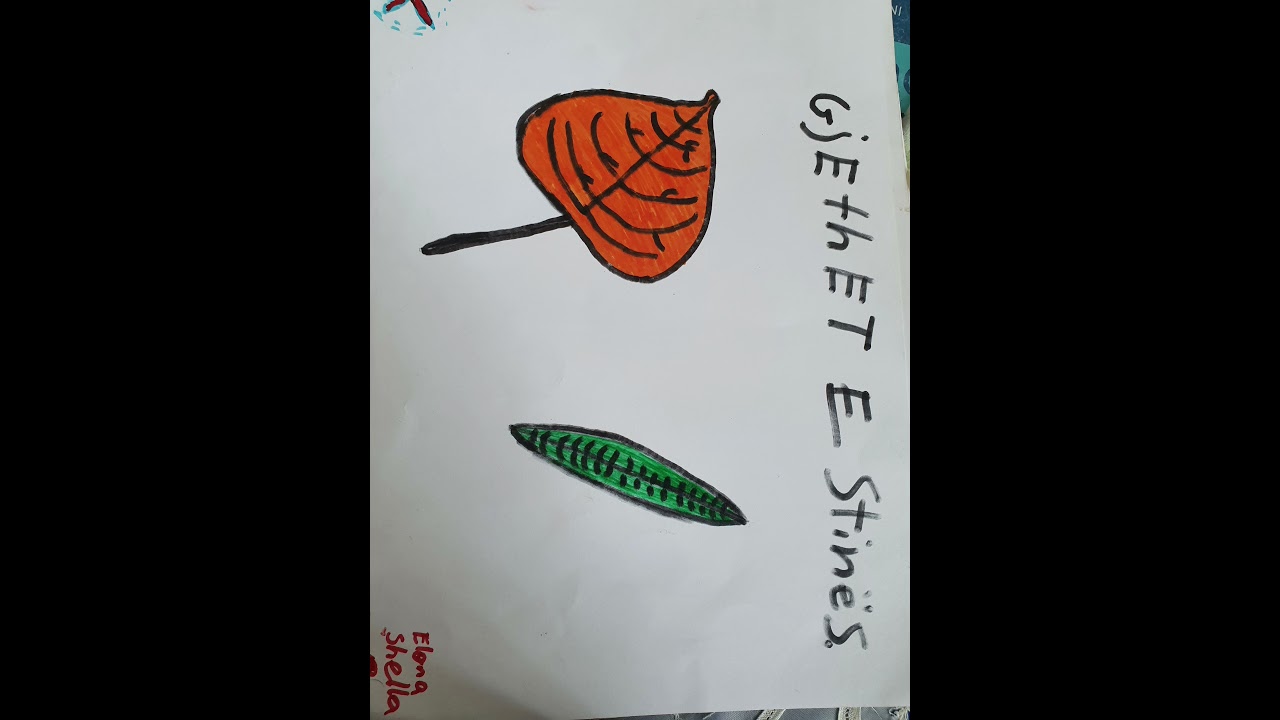 Klasa V Arti pamor Stampimi ne reliev