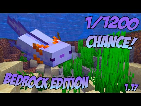 How to summon a blue axolotl in minecraft command bedrock edition | Teamore