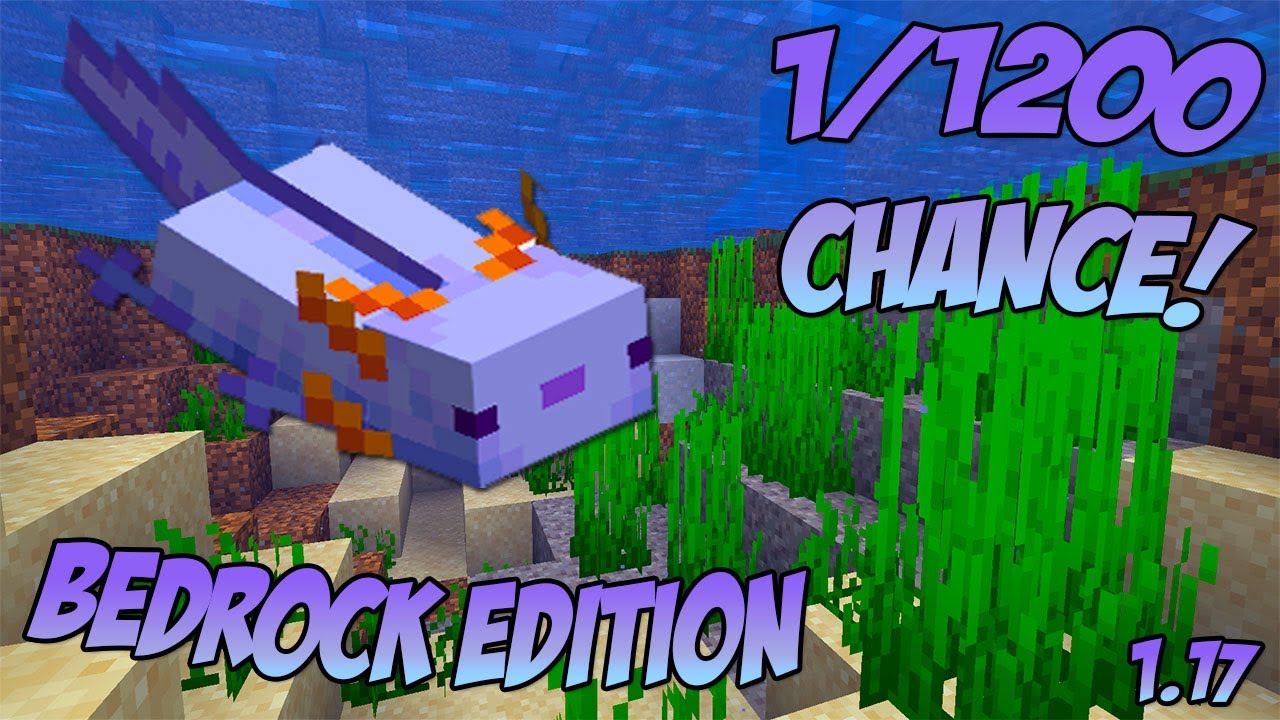 How To Spawn Blue Axolotl In Minecraft Bedrock Edition Youtube