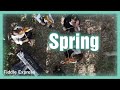 Vivaldi’s Spring Ft: Rachel Beck