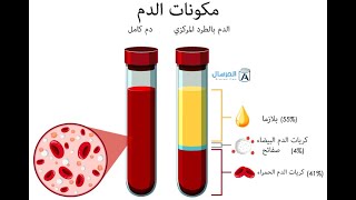 مكونات الدم و دوره في النقل مراجعة شاملة رابعة متوسط