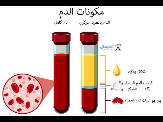 مكونات الدم و دوره في النقل مراجعة شاملة رابعة متوسط