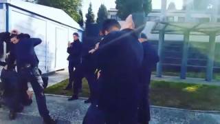 Mannequin challenge Police Academy