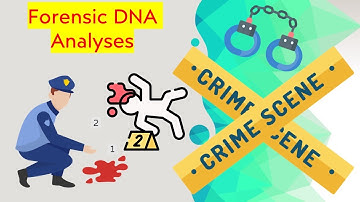 Solving Crimes with Forensic DNA Analysis: How it Works - Explained in 5 Minutes