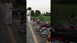 IMG 0081