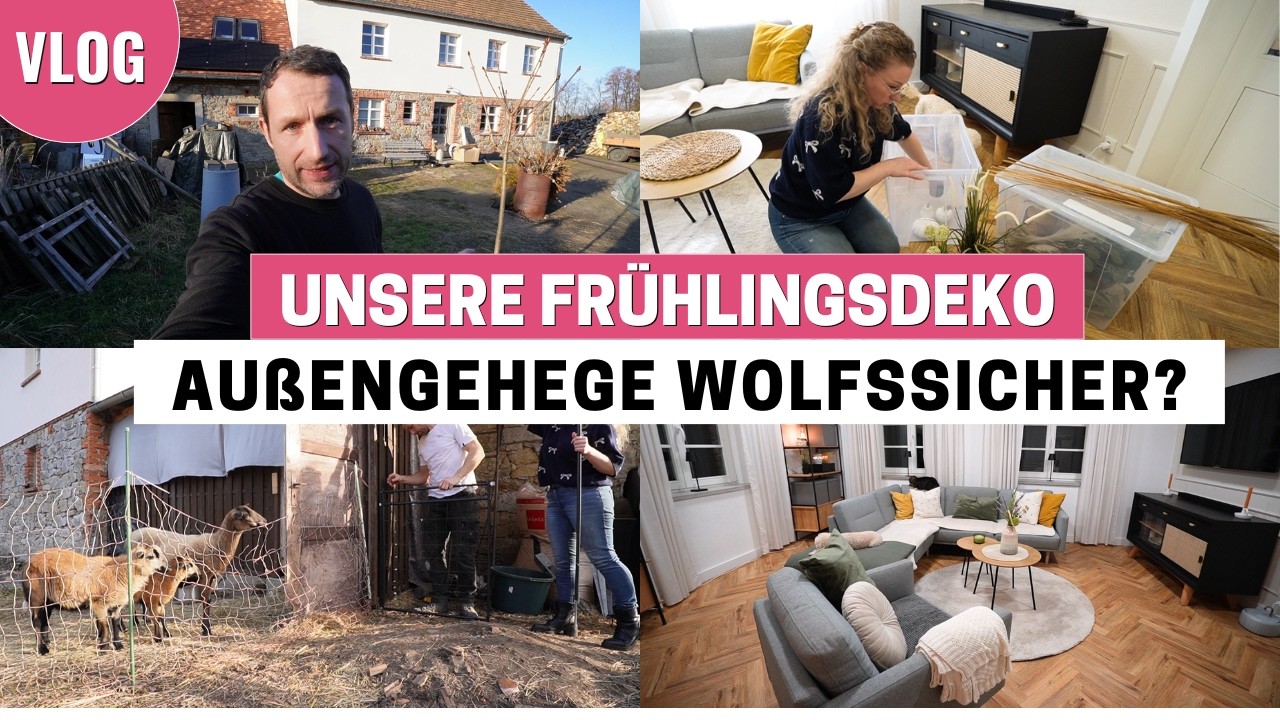Unser Haus wird frühlingshaft 🌷 + Wolfsicheres Upgrade für die Schafe! 🐑