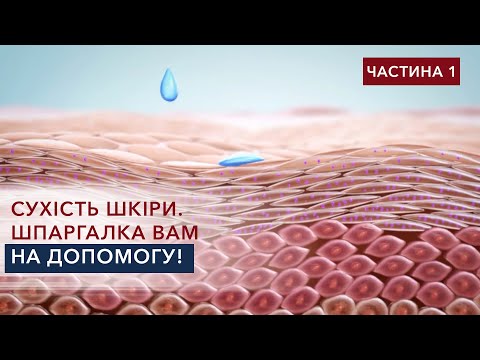 Сухість шкіри. Шпаргалка вам на допомогу! ЧАСТИНА 1