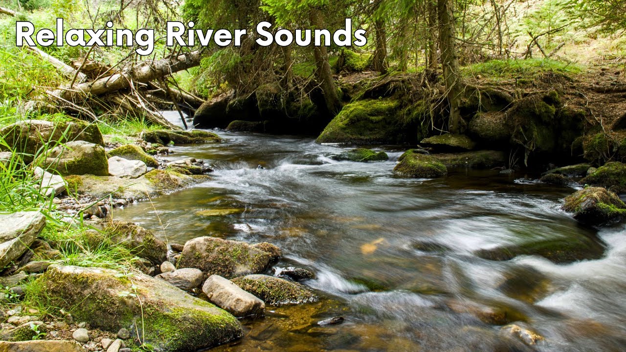 Relaxing Forest Stream Sounds (10 Hours) Calming Nature for Deep Sleep ...
