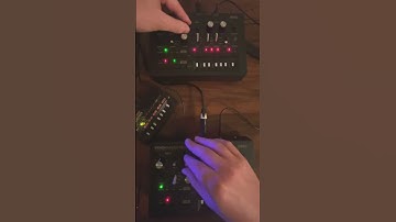 Linked Korg Monotribe into Korg Monotron Delay May 17th 2024 #electronicmusic #analogsynth #synthjam
