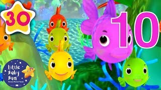Counting Fish |  30 Minutes of Nursery Rhymes | Learn With LBB | #howto
