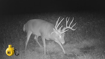 ScrapeFix~The Powder Of Attraction!