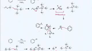 Chapter 18 EAS (Lecture Activity 9)
