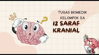 Kelompok 5A || MK Dasar Ilmu Biomedik || 12 Saraf Kranial