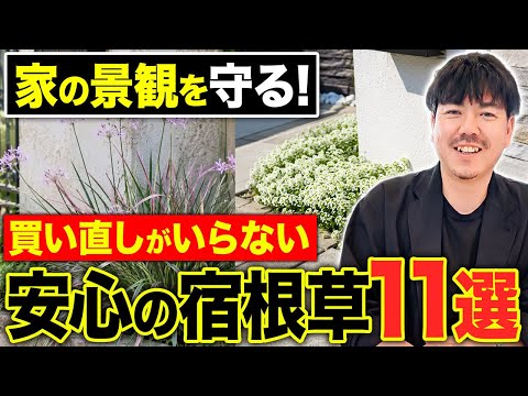 冬の庭に最適な木11選！寂しい冬景色が変わる