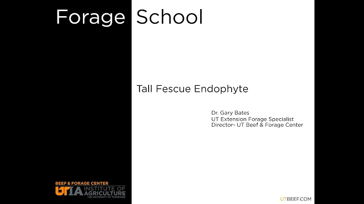 Forage School-  Tall Fescue Endophyte