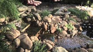 smartpond® Pumps