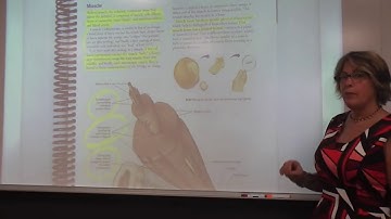 TG 6th Ed. Navigating the body and Chapter 1