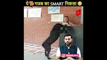 ये Dog गजब का Smart निकला🔥🔥 By Arvind Arora #a2facts#a2motivation#a2sir#a2#a2chemistry