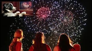 Nyttårs fyrverkeri lydtrening for hunder og katter